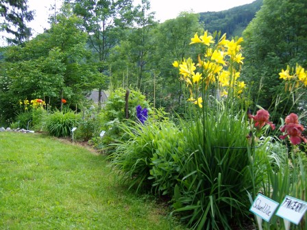 http://www.hildegard-kraeuter-garten.at/media/Eroeffnungsfest 2009/etage3-blumen.JPG
